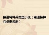 黑道特種兵類型小說（黑道特種兵類電視劇）