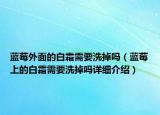 藍(lán)莓外面的白霜需要洗掉嗎（藍(lán)莓上的白霜需要洗掉嗎詳細(xì)介紹）