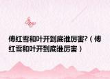 傅紅雪和葉開到底誰厲害?（傅紅雪和葉開到底誰厲害）