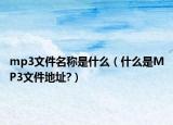 mp3文件名稱是什么（什么是MP3文件地址?）