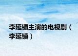 李延鎮(zhèn)主演的電視?。ɡ钛渔?zhèn)）