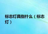 標志燈具指什么（標志燈）