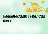 神雕俠侶中馮默風(fēng)（射雕之馮默風(fēng)傳）