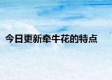 今日更新牽?；ǖ奶攸c(diǎn)