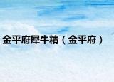 金平府犀牛精（金平府）