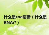 什么是roe指標(biāo)（什么是RNAi?）