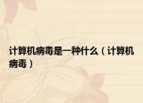 計(jì)算機(jī)病毒是一種什么（計(jì)算機(jī)病毒）