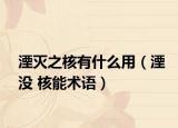 湮滅之核有什么用（湮沒 核能術(shù)語）