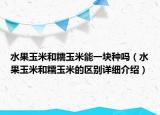 水果玉米和糯玉米能一塊種嗎（水果玉米和糯玉米的區(qū)別詳細(xì)介紹）