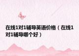 在線1對1輔導(dǎo)英語價格（在線1對1輔導(dǎo)哪個好）