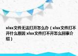 xlsx文件無法打開怎么辦（xlsx文件打不開什么原因 xlsx文件打不開怎么回事介紹）