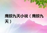 鷹掠九天小說（鷹掠九天）