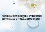 所得稅核定征收表怎么填（企業(yè)所得稅征收方式核定表個(gè)什么表從哪里可以拿到）