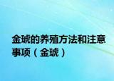 金琥的養(yǎng)殖方法和注意事項(xiàng)（金琥）