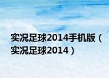 實況足球2014手機版（實況足球2014）