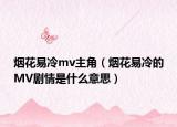 煙花易冷mv主角（煙花易冷的MV劇情是什么意思）
