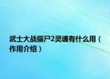 武士大戰(zhàn)僵尸2靈魂有什么用（作用介紹）