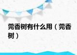 莞香樹有什么用（莞香樹）