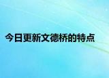 今日更新文德橋的特點