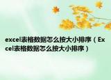 excel表格數(shù)據(jù)怎么按大小排序（Excel表格數(shù)據(jù)怎么按大小排序）