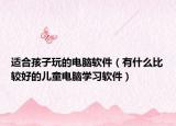 適合孩子玩的電腦軟件（有什么比較好的兒童電腦學(xué)習(xí)軟件）