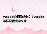 vscode如何調(diào)成中文（vscode怎樣設(shè)置成中文呢）