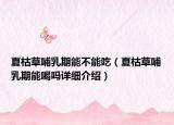 夏枯草哺乳期能不能吃（夏枯草哺乳期能喝嗎詳細(xì)介紹）