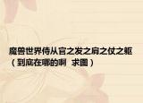 魔獸世界侍從官之發(fā)之肩之仗之軀（到底在哪的啊  求圖）
