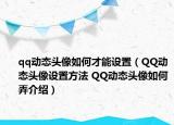 qq動態(tài)頭像如何才能設置（QQ動態(tài)頭像設置方法 QQ動態(tài)頭像如何弄介紹）