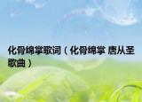 化骨綿掌歌詞（化骨綿掌 唐從圣歌曲）