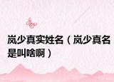 嵐少真實(shí)姓名（嵐少真名是叫啥啊）