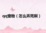 qq寵物（怎么弄死啊）