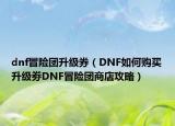 dnf冒險(xiǎn)團(tuán)升級(jí)券（DNF如何購(gòu)買升級(jí)劵DNF冒險(xiǎn)團(tuán)商店攻略）
