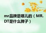 mr品牌是哪兒的（MR.DT是什么牌子）
