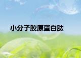 小分子膠原蛋白肽