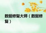數(shù)據(jù)修復(fù)大師（數(shù)據(jù)修復(fù)）