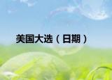 美國(guó)大選（日期）