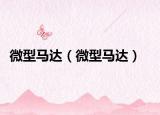 微型馬達(dá)（微型馬達(dá)）