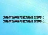 為是其智弗若與的為是什么意思（為是其智弗若與的為是什么意思,）