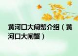 黃河口大閘蟹介紹（黃河口大閘蟹）
