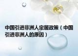 中國引進(jìn)非洲人定居政策（中國引進(jìn)非洲人的原因）