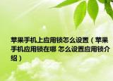 蘋果手機上應用鎖怎么設置（蘋果手機應用鎖在哪 怎么設置應用鎖介紹）