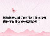 楊梅核吞進(jìn)肚子的好處（楊梅核吞進(jìn)肚子有什么好處詳細(xì)介紹）
