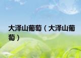 大澤山葡萄（大澤山葡萄）