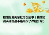 核酸檢測(cè)兩條杠怎么回事（核酸檢測(cè)兩道杠是不是確診了詳細(xì)介紹）