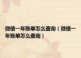微信一年賬單怎么查詢（微信一年賬單怎么查詢）