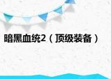暗黑血統(tǒng)2（頂級裝備）