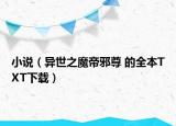 小說（異世之魔帝邪尊 的全本TXT下載）