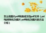 怎么將圖片pdf轉(zhuǎn)換成文檔pdf文件（pdf如何轉(zhuǎn)化為圖片 pdf轉(zhuǎn)化為圖片的方法介紹）