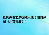 如何評價北京極限天使（如何評價《北京青年》）